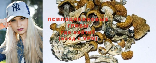 мескалин Осташков