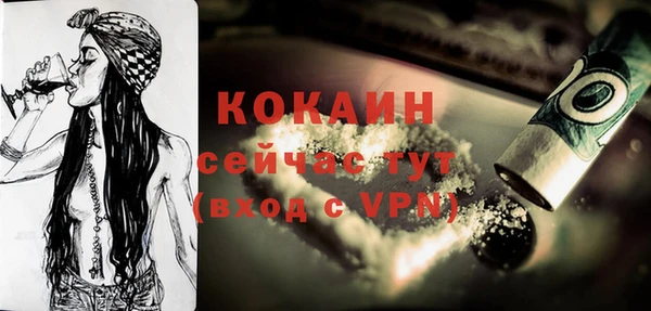 Альфа ПВП Осинники