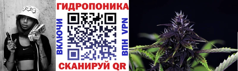 Купить закладки  Петропавловск-Камчатский  МАРИХУАНА SATIVA & INDICA 